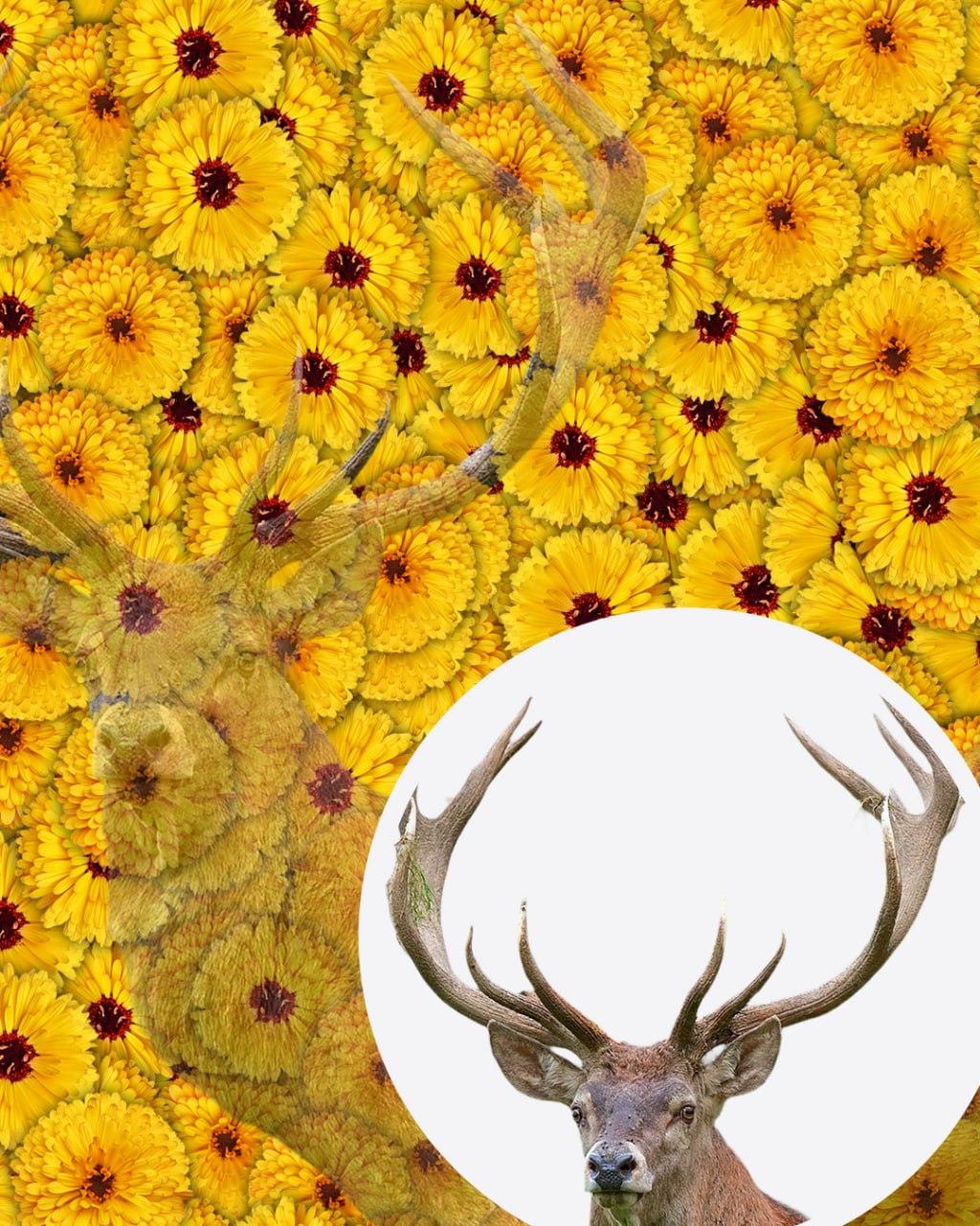 Endast 1 av 10 personer kommer att hitta rådjuret på bilden på 7 sekunder: en mycket komplex optisk illusion