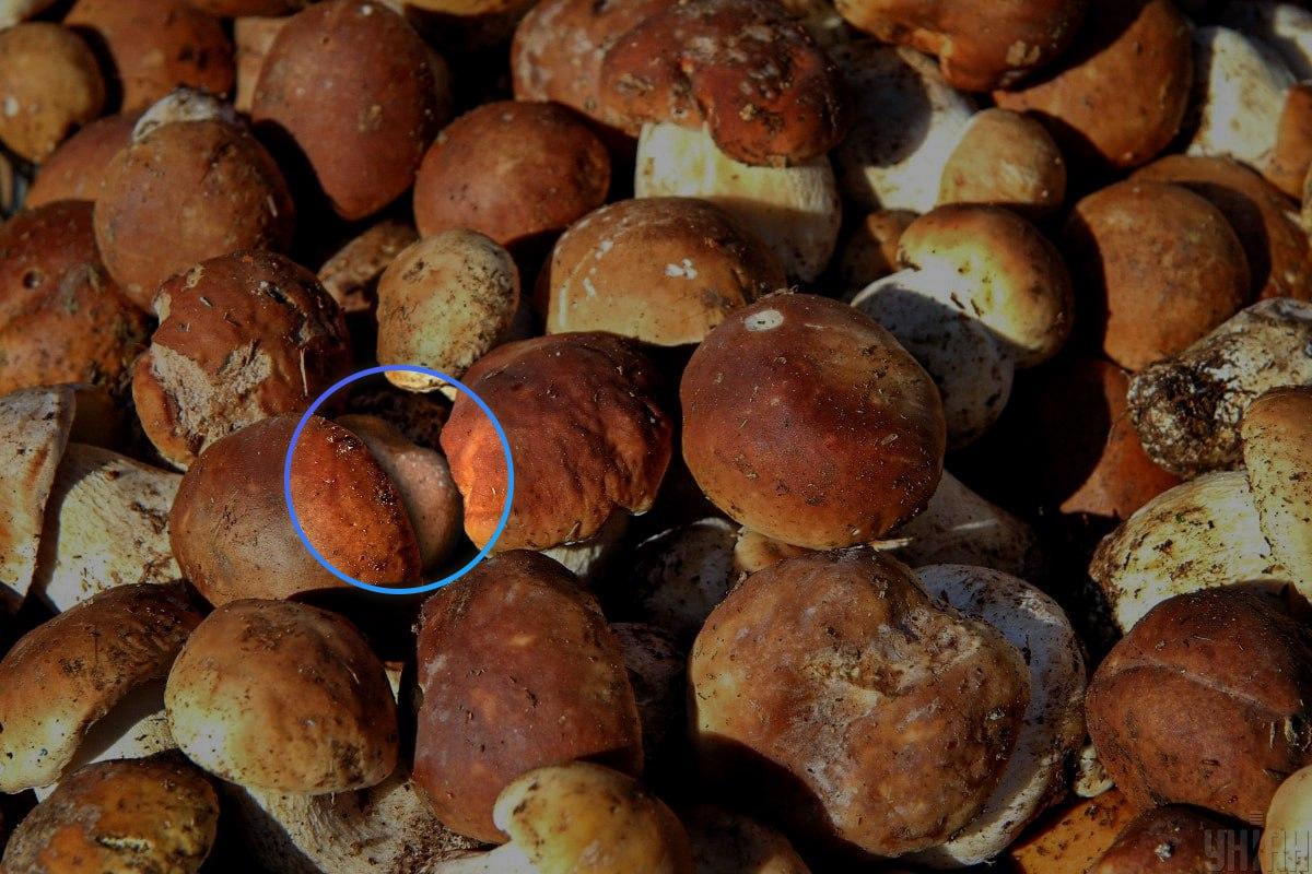 Stenen var nästan i mitten av den optiska illusionen / Moje collage