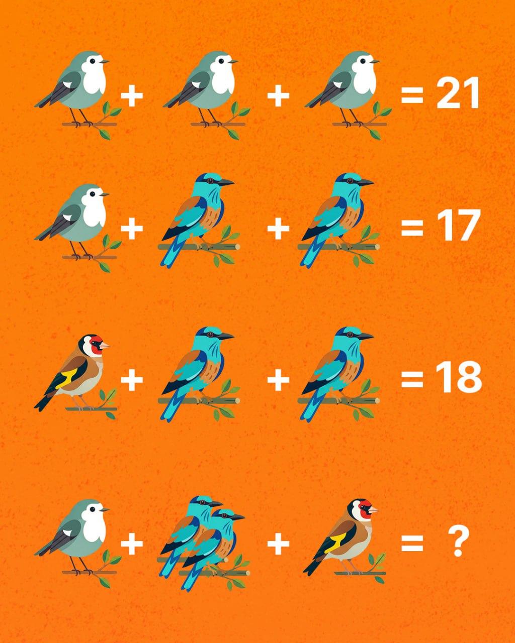 Bara ett geni kan räkna alla fåglar: ett förvånansvärt utmanande pussel