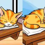 Endast de mest uppmärksamma kan hitta 3 skillnader från en