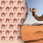 Endast moderna Sherlock Holmes kan hitta den märkliga kamelen: ett